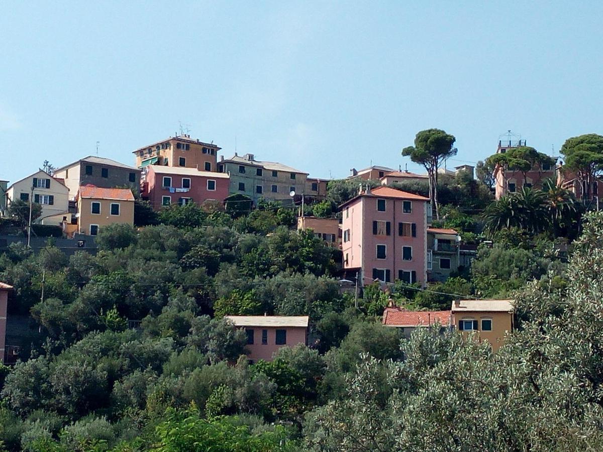 Villino "Il Rustichetto" Villa Genova Eksteriør bilde